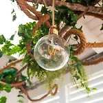 ベッド・アンド・ブレックファスト Sogno D'epoca 1822 4*