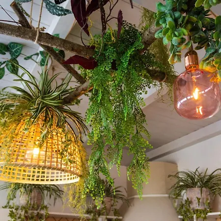 Sogno D'epoca 1822 4*