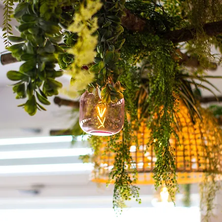 Sogno D'epoca 1822 B&B 모노폴리